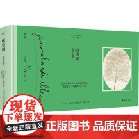 绿香调 爱的故事 (法)让-克罗德·艾列纳 著 彭姝祎 译 艺术其它文学 正版图书籍 广西师范大学出版社