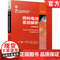 正版 燃料电池系统解析 原书第3版 安德鲁 迪克斯 质子交换膜 碱性燃料电池 熔融碳酸盐 固体氧化物