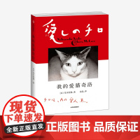 我的爱猫奇洛 荒木经惟 著 荒木阳子 摄影 猫咪 爱情 思念 宠物 中信出版社图书 正版