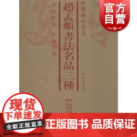 中国碑帖名品·赵孟頫书法名品三种(套装)上海书画出版社编先秦刻石大篆毛笔字帖软笔书法临摹帖练习古帖上海书画出版社