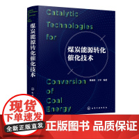 煤炭能源转化催化技术 固体煤炭转化为电能热能气体 液体燃料化学能及机械能过程中关键催化技术 煤气化合成气净化催化技术应用