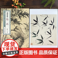 陆抑非课徒稿竹石 中国美术学院名家教学示范作品大8开高清写生创作 中国画初学入门临摹教程画册页绘画技法赏析教材作品画集