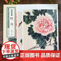 陆抑非课徒稿牡丹 中国美术学院名家教学示范作品大8开高清写生创作 中国画初学入门临摹教程画册页绘画技法赏析教材作品画集