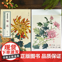 陆抑非课徒稿菊花 中国美术学院名家教学示范作品大8开高清写生创作 中国画初学入门临摹教程画册页绘画技法赏析教材作品画集