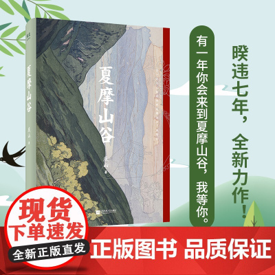 江苏凤凰文艺出版社 夏摩山谷 庆山安妮宝贝暌违七年2019全新作品长篇小说七月与安生莲花春宴追寻自我精神之旅