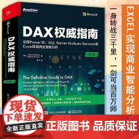 DAX权威指南:运用Power BI、SQL Server Analysis Services和Excel实现商业智能分