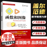 盖尔范德数学思维丛书 函数和图像 中学生数学思维训练数学思维逻辑训练书 初高中数学怎样解题思维训练基础知识大全 中科大