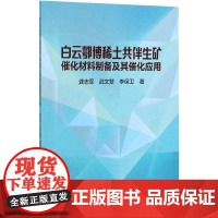 白云鄂博稀土共伴生矿催化材料制备及其催化应用 龚志军,武文斐,李保卫 著 冶金工业专业科技 正版图书籍 冶金工业出版社