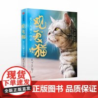 观复猫 史上无猫不传奇 马未都 著 中信出版社图书 正版书籍