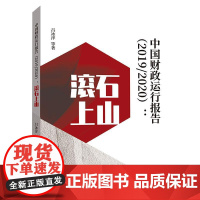 中国财政运行报告 (2019/2020) 吕冰洋等著 著 财政/货币/税收经管、励志 正版图书籍 中国财政经济出版社