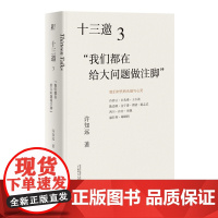 [正版] 十三邀3:我们都在给大问题做注脚 北贝 一页 许知远/著 访谈 许倬云 项飙 广西师