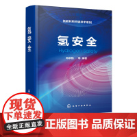 氢能利用关键技术系列 氢安全 毛宗强 氢安全基础知识书籍 氢气利用过程中的安全原理策略 氢制取储运应用和氢能基础设施