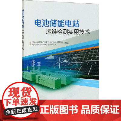 电池储能电站运维检测实用技术 国网湖南省电力有限公司电力科学研究院,湖南省湘电试验研究院有限公司 编 电工技术/家电维修