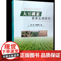 大豆磷素营养生理研究 敖雪,谢甫绨 著 中国农业科学技术出版社 9787511649874 大豆书籍 大豆营