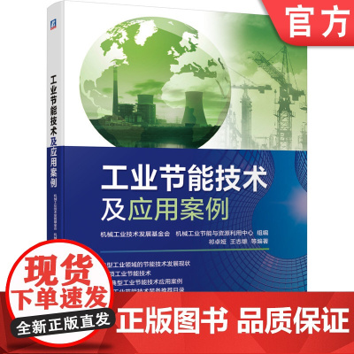 正版 工业节能技术及应用案例 祁卓娅 王志雄 化工行业 钢铁 有色金属 煤炭 电力 建材 电子 轻工 典型实例分析