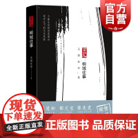 言他:桐城往事 王顾左右 桐城故事 长篇小说 中国现当代文学 文化 上海文艺出版社