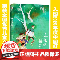 逐光的孩子 寒暑假期读一本好书故乡童年原创儿童文学书系7-10岁小学三四五年级课外阅读书籍童话故事图书冒险校园小说舒辉波