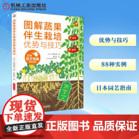 图解蔬果伴生栽培优势与技巧 (日)木岛利男 著 赵长民 译 园艺专业科技 正版图书籍 机械工业出版社