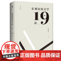 宏观比较文学19讲 王向远/著 比较文学、文学特质 广西师范大学出版社