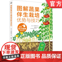 正版 图解蔬果伴生栽培优势与技巧 木岛利男 种植技术 优质蔬菜 无公害果树 陪植植物指南