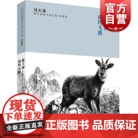 沈石溪臻奇动物小说文集 涅槃卷 狼王梦 斑羚飞渡 6-12周岁四五六年级中小学生课外阅读书籍 沈一鸣 少年儿童出版社