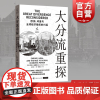 大分流重探/欧洲印度与全球经济强权的兴起 瑞士罗曼施图德经济史与思想史丛书世界经济史工业革命世界历史计量史学 格致出版社