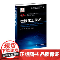 化工过程强化关键技术丛书 微波化工技术 彭金辉 梅毅 巨少华 著 高等院校化工 冶金 材料及相关专业教材 微波化工反应系