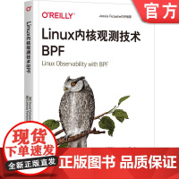 正版 Linux内核观测技术BPF 大卫 卡拉维拉 虚拟机 监控 跟踪 安全观测 代码示例 程序类型 验证器 尾部调