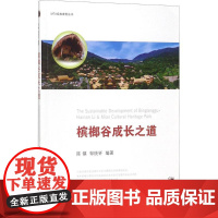 槟榔谷成长之道 陈镇,邹统钎 编著 社会学经管、励志 正版图书籍 经济管理出版社