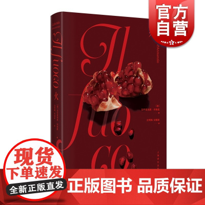 正版图书 火(加布里埃莱·邓南遮作品) 上海译文出版社 长篇小说 沈萼梅 刘锡荣 译