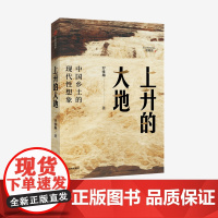 上升的大地:中国乡土的现代性想象 罗雅琳 著社会科学 乡村 农村 北大才女博士 中信出版社图书 正版