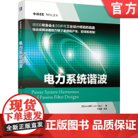 正版 电力系统谐波 J C 达斯 非线性负载 谐波指数 谐波分析抑制 无功补偿 滤波器设计 电能质量 有源无源控制