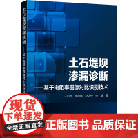 土石堤坝渗漏诊断——基于电阻率图像对比识别技术 王日升 等 著 建筑/水利(新)专业科技 正版图书籍 化学工业出版社