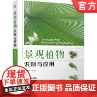 正版 景观植物识别与应用 刘海桑 石松类 真蕨类 学名 分布 识别 造景功能 配置原则 程序 技巧 栽培图册