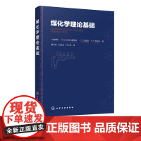 煤化学理论基础 煤加工转化技术书籍 煤炭萃取气化焦化加氢液化理论基础书籍 煤炭利用技术书籍 现代煤化学原理 煤工业技术