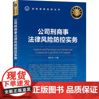 新华正版 公司刑商事法律风险防控实务 刘平凡著 深圳律师实务丛书 合同罪 挪用资金罪 离婚诉讼 刑事和解 法学理论