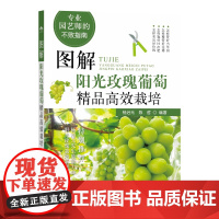 新版图解阳光玫瑰葡萄精品高效栽培 9787109284548 杨治元 陈哲主编 阳光玫瑰葡萄病虫草害诊断与防治 葡萄合