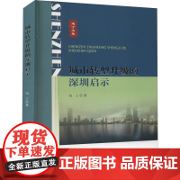 城市转型升级的深圳启示 宋丁 著 国内贸易经济经管、励志 正版图书籍 中山大学出版社