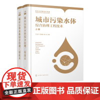 城市污染水体综合治理工程技术上下册 城市污染水体治理 地下深层隧道储存CSO SSO排水系统 城市排水规划 水污染水体整