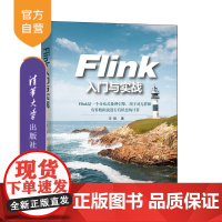 [正版]Flink入门与实战 汪明 清华大学出版社 计算机数据处理软件Flink大数据框架