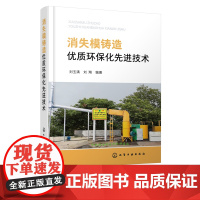 正版 消失模铸造优质环保化先进技术 消失模铸造先烧后浇工艺高频振动浇注工艺耐烧陶瓷涂料废气处理技术铸铁铸钢生产技术应用书