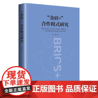 &quot;金砖+&quot;合作模式研究 闫明明 著 闫明明 编 经济理论经管、励志 正版图书籍 中国经济出版社