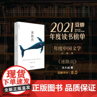 迷路员 沈大成新作 青年作家 当代文学短篇小说书 宝珀理想国文学奖 行星掉在下午作者