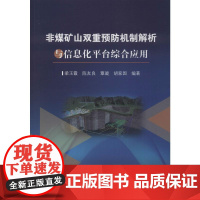 非煤矿山双重预防机制解析与信息化平台综合应用 梁玉霞 等 著 各部门经济专业科技 正版图书籍 冶金工业出版社