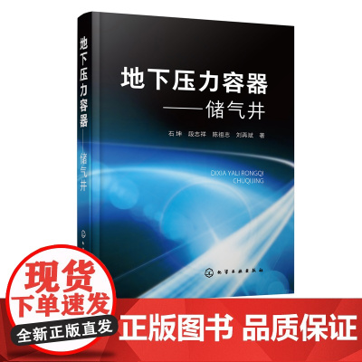 正版 地下压力容器 储气井 储气井发展概述 储气井材料结构设计制造检测腐蚀防护安装使用维护检验技术应用书 压力容器检测技