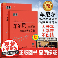 车尔尼钢琴初级练习曲作品599 车尔尼钢琴快速练习曲作品849套装全两册 韦丹文钢琴初级练习曲教程钢琴谱扫码看视频 大符