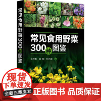 常见食用野菜300种图鉴 徐晔春,蒋明,孙光闻 编 生命科学/生物学生活 正版图书籍 化学工业出版社