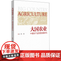 大国农业——中俄农产品贸易发展研究 文峰 著 国内贸易经济经管、励志 正版图书籍 北京大学出版社