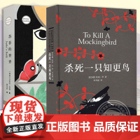 [全2册套装]苏菲的世界+杀死一只知更鸟 李经典作品成长文学世界的哲学启蒙文学 课外阅读书目 现当代文学散文外国文学小