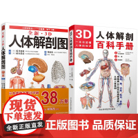 两册 3D人体解剖百科手册+全新3D人体解剖图 了解人体结构的秘密 (日)水岛章阳 著;孙越 译 等 自由组合套装生活